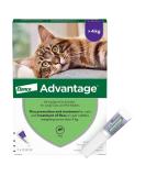 Advantage 80 Flea Spot On Treatment For Large Cats & Rabbits 1 Pipette 0.8ml 4kg - Buy Online on GoSupps.com