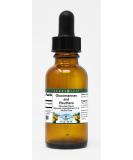 Shop Terravita Glucomannan & Eleuthero Glycerite Liquid Extract - Chocolate Flavored (1 oz) for International Shipping - Buy Online on GoSupps.com