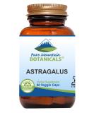 Astragalus Root Capsules - 90 Kosher Vegan Caps with 470mg Organic Astragalus - Buy Online on GoSupps.com