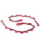 Buy Dasking Daisy Chains - 23KN Strong Yoga Hammock Extension Belt | Adjustable Nylon Exercise Strap for Climbing Aerial Yoga Pilates & Fitness (2 Pieces 110cm Red) - Buy Online on GoSupps.com
