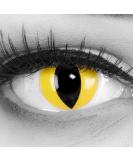 Buy Funnylens Yellow Crazy Cat Eye Contact Lenses - Halloween & Carnival | Free Lens Case | -3.50 Diopter | Top Quality Fun Lenses - Buy Online on GoSupps.com