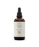 Buy Slippery Elm B120 Alcohol-Free Herbal Extract Tincture - Natural Ulmus Rubra Liquid Drops 4 fl oz | International Shipping - Buy Online on GoSupps.com