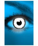 FUNZERA UV Vampire Halloween Contact Lenses - White (Pack of 2) | Prescription-Free | Perfect for Cosplay Carnival & Mardi Gras - Buy Online on GoSupps.com