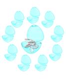 10-Piece Blue Pacifier Storage Box Set - Portable Dustproof Organizer for Babies - Buy Online on GoSupps.com
