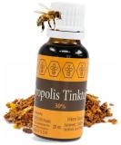 North Bush Propolis Tincture - 30% Pure Propolis Extract Drops (20ml) | Premium Beekeeping Quality - Buy Online on GoSupps.com