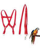 Felenny Bird Dishes & Leash - Adjustable Outdoor Accessories for Scarlet Macaw Sun Conure and Nymphensittich - Anti-Bite Protection (Large Red) - Buy Online on GoSupps.com
