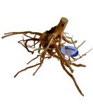 Superfish Natural Spiderwood - Large (40-50cm) - Buy Online on GoSupps.com