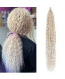 Buy DSoar 30 Deep Twist Crochet Hair - 3 Packs Ocean Wave Curly Bohemian Braids | Synthetic Hair Extensions for Women & Girls - 30inch 18/56c# - Buy Online on GoSupps.com