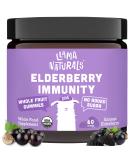 Whole Fruit Sambucus Elderberry Gummies for Kids - No Added Sugar Vegan Kids Immune Support Gummies - Organic Elderberry Gummies with Zinc and Vitamin C plus Beta Glucan - 60 Gummies (30 Day Supply) - Buy Online on GoSupps.com