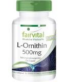 Fairvital L-Ornithine 500mg - High Dose Vegan Supplement - 120 Capsules | International Shipping Available - Buy Online on GoSupps.com