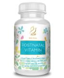 Actif Organic Postnatal Vitamin with 25+ Organic Vitamins and Organic Herbs, Nursing and Lactation Supplement, Supports Baby's Brain Development, Non-GMO, Made in USA, 90 Count - Buy Online on GoSupps.com