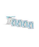 Zylkene Vetoquinol 75 mg Capsules | 40 Pack | Supplementary Dog Feed | Supports Dogs in Unusual Situations | International Shipping Available - Buy Online on GoSupps.com
