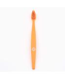 Berlin Biobrush Toothbrush - Eco-Friendly Orange Design | Best International Shipping - Buy Online on GoSupps.com