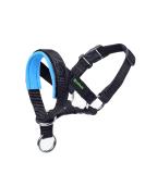 Padded Dog Head Collar for Anti-Pulling Control | Adjustable Head Harness in L Lake Blue - Buy Online on GoSupps.com