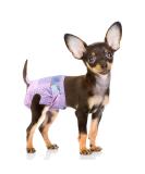 Flying Paws Disposable Dog Diapers Suitable for Dogs and Cats Adjustable Disposable Diapers 10-40 Pack (XS-10 Pack) XS 10.0 - Buy Online on GoSupps.com