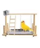 Parrots Playground Gym with Ladder Swings & Feeding Cups - For Parakeets, African Grey, Conures, Cockatiels - Cage Accessories & Toys - Buy Online on GoSupps.com
