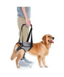 Hamon Portable Dog Harness for Hind Legs | Dog Lifting Aid for Older & Sick Dogs (Large) - Buy Online on GoSupps.com