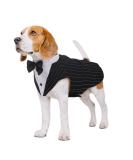 Kuoser Dog Smoking Suit & Bandana Set - Pet Formal Clothing for Weddings Halloween & Birthday Parties (S-XXL 35cm) - Buy Online on GoSupps.com