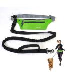 Premium Stretchy Dog Leash for Jogging & Hiking - Ideal for Small to Medium Dogs (118-200 cm) - Buy Online on GoSupps.com