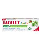 LACALUT Junior Toothpaste 6+ Years | Fluoride & Xylitol | Apple Mint Flavor - 55ml | Daily Caries Protection - Buy Online on GoSupps.com