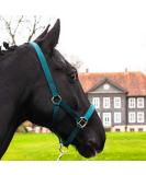 Shop Durable Green Horse Delinis Halter for Warmbloods Thoroughbreds & Ponies - Adjustable Tearproof & Safe - Ideal for Pasture & Stable Use - Buy Online on GoSupps.com