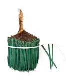 Cowee Wired Wood Picks 4'' Package of 50 - Professional Floral Stem Supports in Dark Green - Buy Online on GoSupps.com