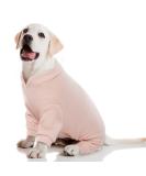 Soft Pink Puppy Overall Jumpsuit | Cozy Dog Pajamas & Jacket for Small to Medium Breeds - Buy Online on GoSupps.com