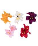 Framendino 5 Pack Hawaiian Amapola Flower Hair Clips - Artificial Orchid Barrettes - 5 Count (Pack of 1), Style A - Buy Online on GoSupps.com