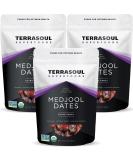 Organic Medjool Dates - Terrasoul Superfoods - 6 lbs Caramel Sweetness - Buy Online on GoSupps.com