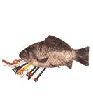 LUOEM Funny Fish Pencil Case Zippered Carp Makeup Bag & Purse for School & Travel | International Shipping Available - Buy Online on GoSupps.com
