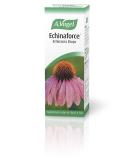 (3 PACK) - A Vogel - Echinaforce Drops | 100ml | 3 PACK BUNDLE - Buy Online on GoSupps.com