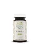Buy Angelica 60 Capsules 500mg - Natural Dried Root Extract for Optimal Health | Fast International Shipping - Buy Online on GoSupps.com