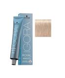 Buy Schwarzkopf Igora Royal 12-19 Special Blonde Cendre Violet - Highlift Permanent Hair Color | International Shipping Available - Buy Online on GoSupps.com