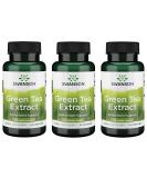 Swanson Green Tea Extract 500mg Capsules (3 Pack) - Natural Antioxidant Support - Buy Online on GoSupps.com