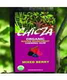 Mixed Berry - CHICZA - Certified Organic Rainforest Chewing Gum (1 Box) - Buy Online on GoSupps.com