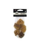 FolkArt Natural Sponge Set  Small Brown - Buy Online on GoSupps.com