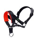 ILEPARK Dog Halter with Padded Fabric - Adjustable No-Pull Collar for Small Dogs (Red) - International Shipping Available - Buy Online on GoSupps.com