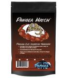 Pangea Hatch Premium Reptile Egg Incubation Substrate (1 lb) 473.18 ml (Pack of 1) - Buy Online on GoSupps.com