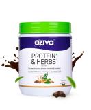 Protein & Herbs for Men - Muscle Building & Recovery | 23g Whey Protein Isolate 5.5 BCAAs Sugar-Free Certified Clean Chocolate Flavor - 500g - Buy Online on GoSupps.com