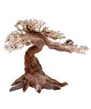 Amtra Oriental Wind 5 Wood Handmade Aquarium D cor 25x10x18 CM - Small Brown - Buy Online on GoSupps.com