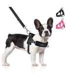 Eyein No-Pull Dog Harness & Leash Set | Soft Padded Reflective & Adjustable for Puppies Small & Large Dogs | Ideal for Pets & Cats (Black L) - Buy Online on GoSupps.com