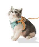 Fueegue Cat Harness & Leash - Escape Proof Adjustable Soft Harness for Cats & Dogs - Green L - Buy Online on GoSupps.com