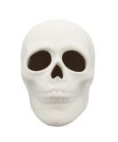 Creative Hobbies Ready to Paint Ceramic Bisque  5 Inch Long x 4 Inch Tall Skull  Includes How to Paint Your Own Pottery Booklet - Buy Online on GoSupps.com