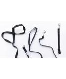 Gencon Combo - Headcollar (Right-handed Medium Black) Clip Lead Link Medium Black - Buy Online on GoSupps.com