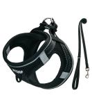 Premium Black Padded Dog Harness for Small Dogs | Comfortable XS Puppy Harness | Durable & Adjustable Harness for Small Breeds - Buy Online on GoSupps.com