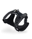 Lionto Dog Harness | Padded Anti-Pull Reflective Safety Harness | Adjustable Size L - Black - Buy Online on GoSupps.com