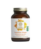 Pure Synergy SuperPure Ginger Extract | 60 Capsules | Made with Organic Ingredients | Non-GMO | Vegan | with 425 mg of Ginger Extract - Buy Online on GoSupps.com
