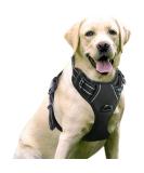 Rabbitgoo No-Pull Dog Harness for Large Dogs - Adjustable Padded Control Chest Harness - Black XL - Safe and Comfortable Puppy Dishes (1 Pack) - Buy Online on GoSupps.com