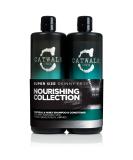Catwalk by TIGI - Oatmeal & Honey Nourish Shampoo and Conditioner Set - Restoring Professional Haircare - Great For Dry and Damaged Hair - 2x750ml - Buy Online on GoSupps.com