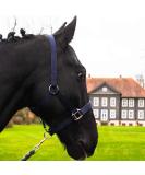 Durable Blue Horse Delinis Halter for Warmbloods Thoroughbreds & Ponies 2-Fold Adjustable Safe & Tear-Resistant - Buy Online on GoSupps.com